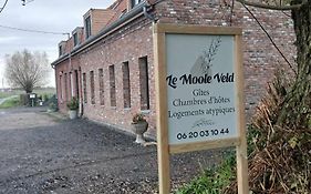 Le Moole Veld